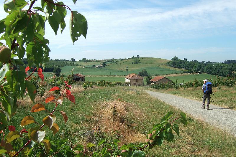 2011-05- (1176).JPG
